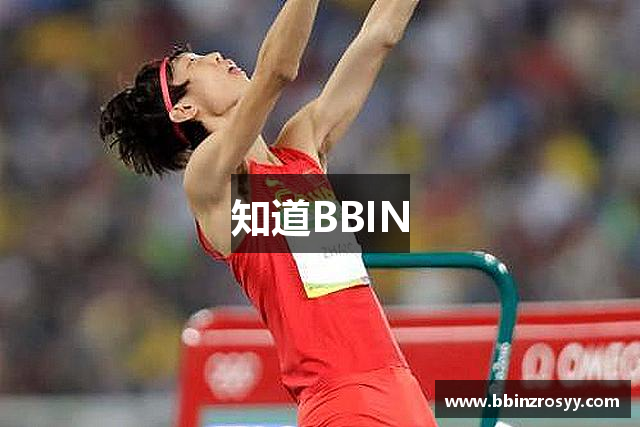 知道BBIN